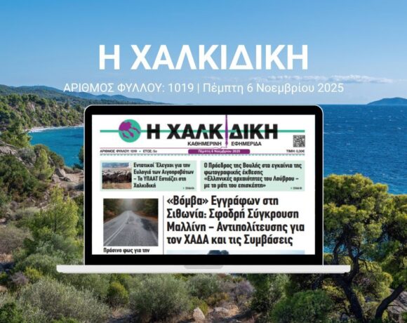 Η ΧΑΛΚΙΔΙΚΗ 1019