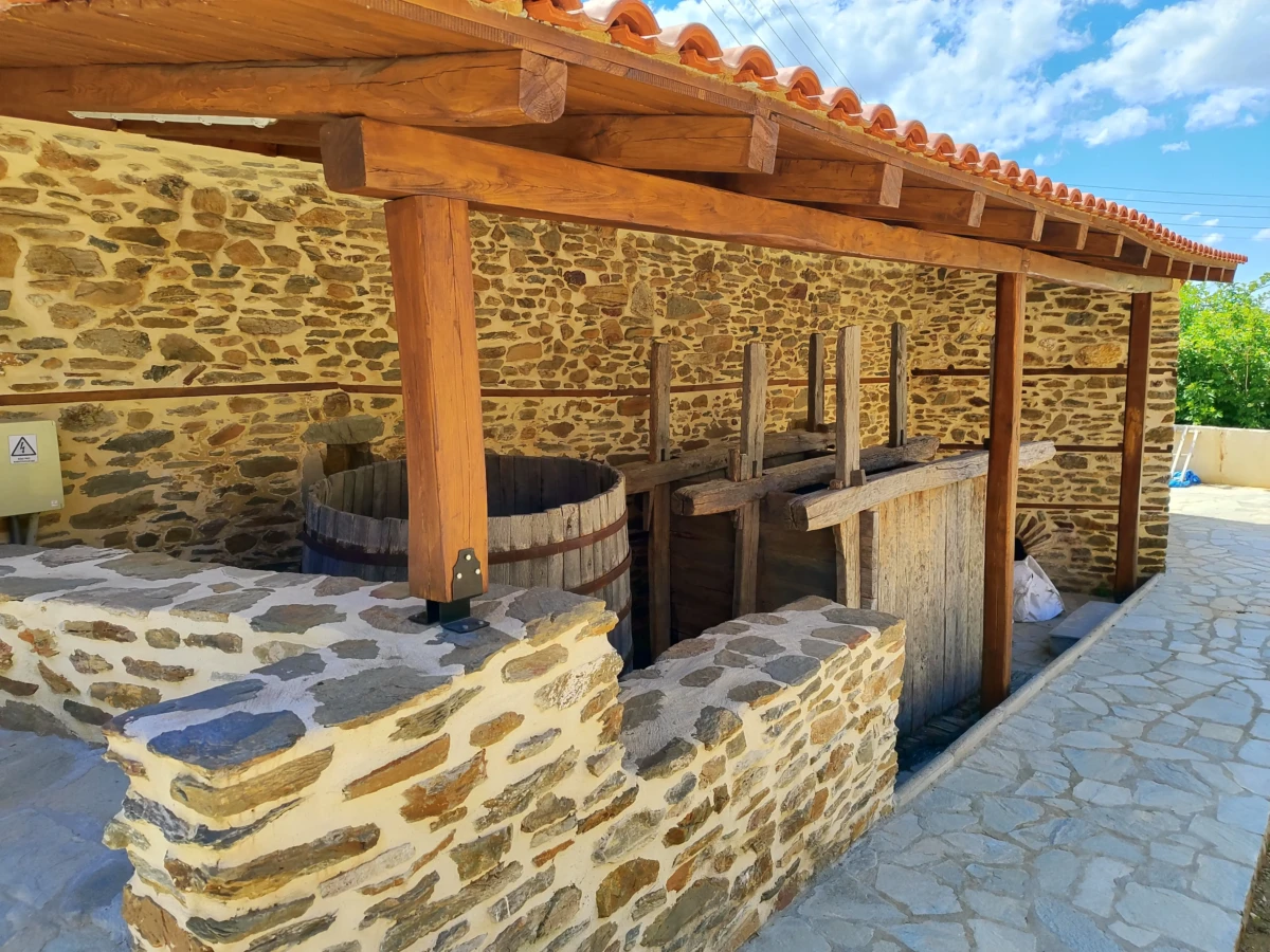 Αύλιος χώρος (2)