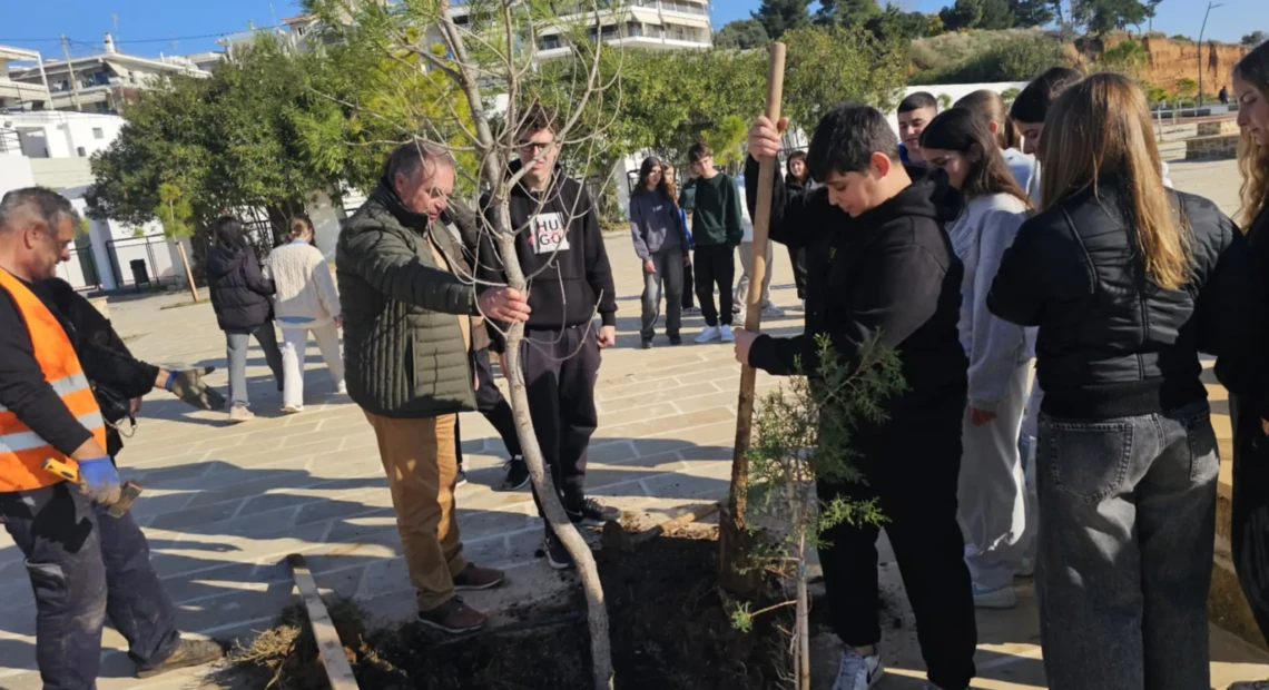 δενδροφυτευση 2
