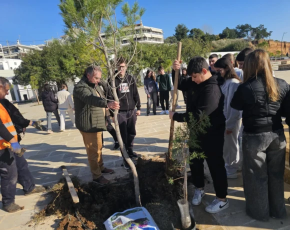δενδροφυτευση 2