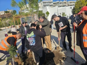 δενδροφυτευση 3