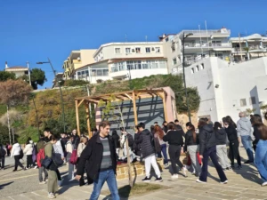 δενδροφυτευση 4