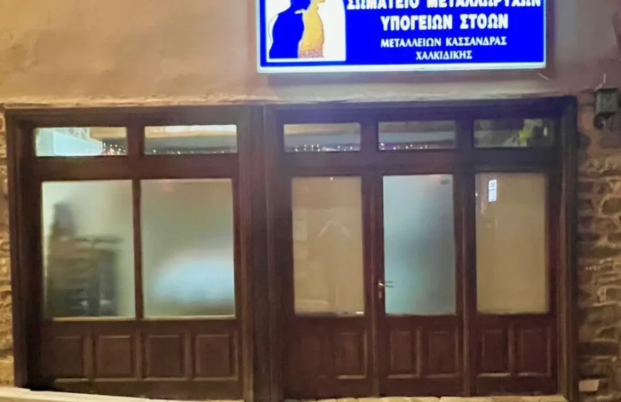 επαγγελματκο σωματειο