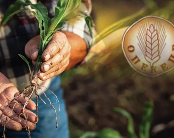 ot_opekepe_agroths_mefyto-1024x600