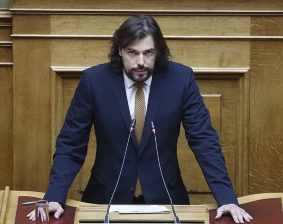 Π.Παππάς1 (3)