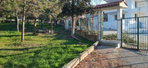 &zeta;&eta;&mu;&iota;&epsilon;&sigmaf; 4