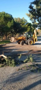 &zeta;&eta;&mu;&iota;&epsilon;&sigmaf; 5