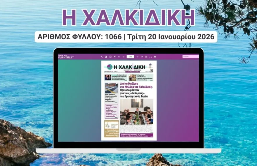 Η ΧΑΛΚΙΔΙΚΗ COVER (10)