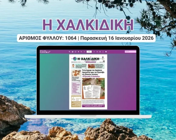 Η ΧΑΛΚΙΔΙΚΗ COVER (8)