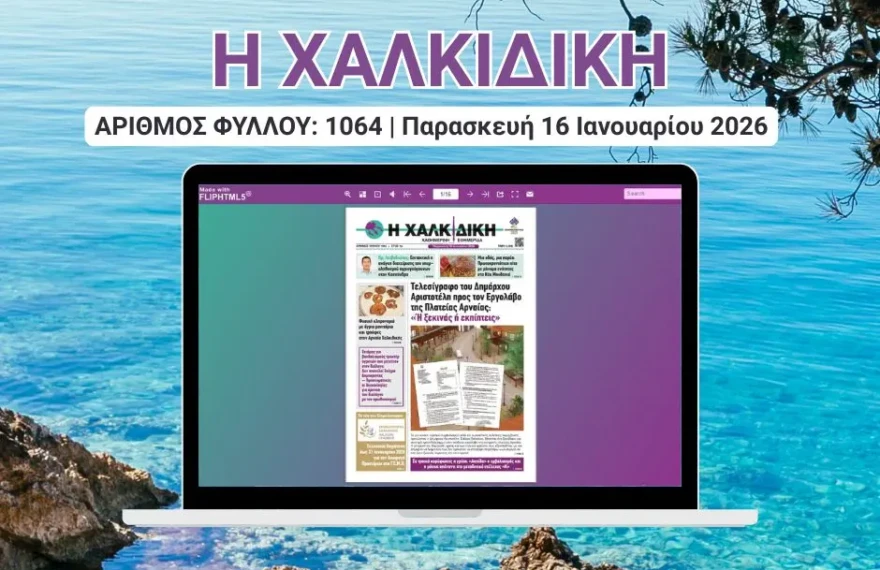 Η ΧΑΛΚΙΔΙΚΗ COVER (8)