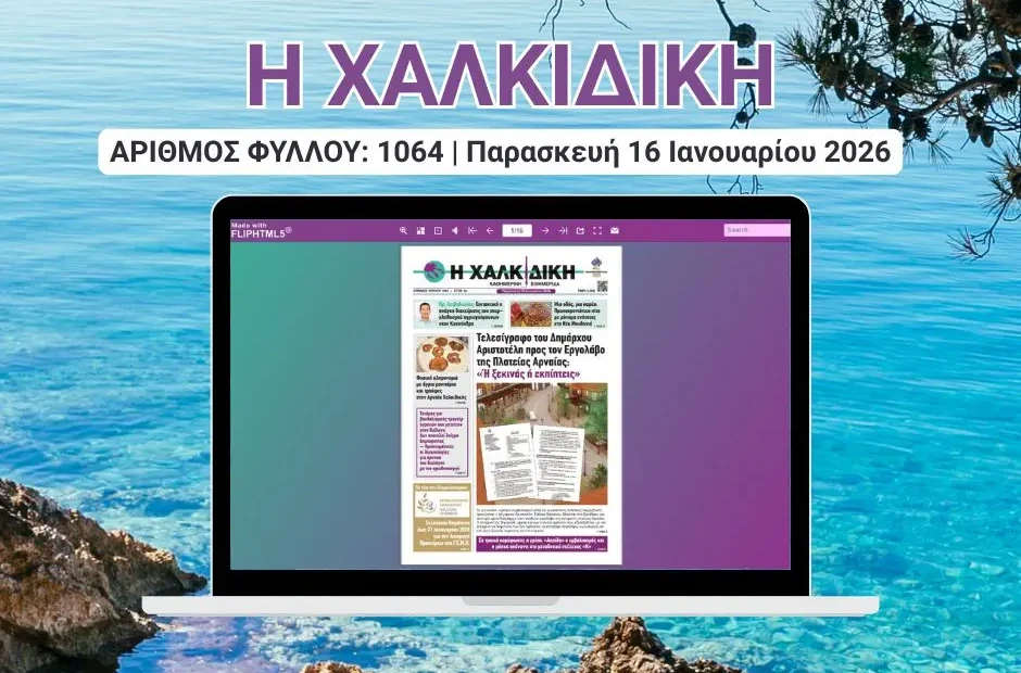 Η ΧΑΛΚΙΔΙΚΗ COVER (8)