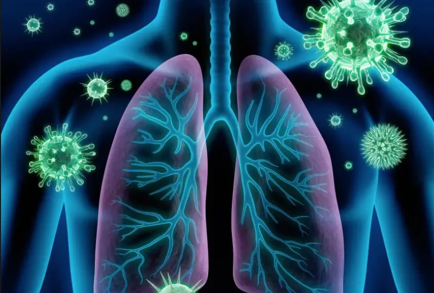 Στιγμιότυπο-2018-01-23-7.45.27-πμ