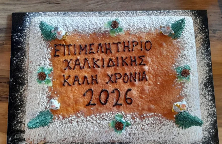 βασιλοπιτα_2026