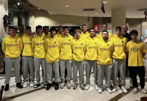 0a8a8d28-aeea-4b50-b8f3-b6e8bd8a3f49