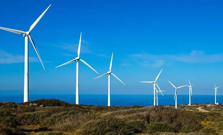 1485038-anemogennitries-930-1-768x465