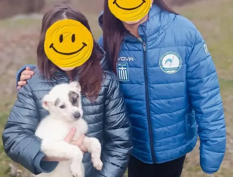 488909225_122122834694695996_3882381546308345318_n