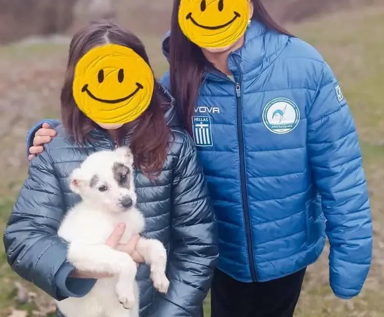 488909225_122122834694695996_3882381546308345318_n