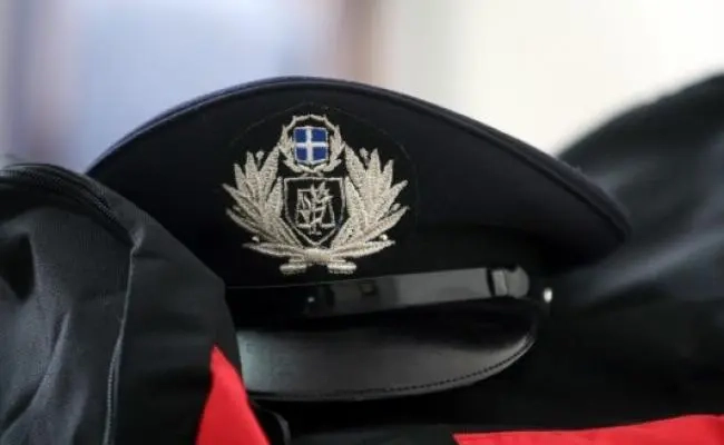 elas_533_355-533x330-1