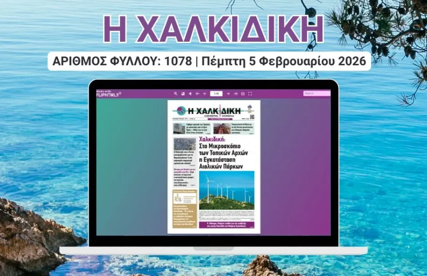 Η ΧΑΛΚΙΔΙΚΗ COVER (15)