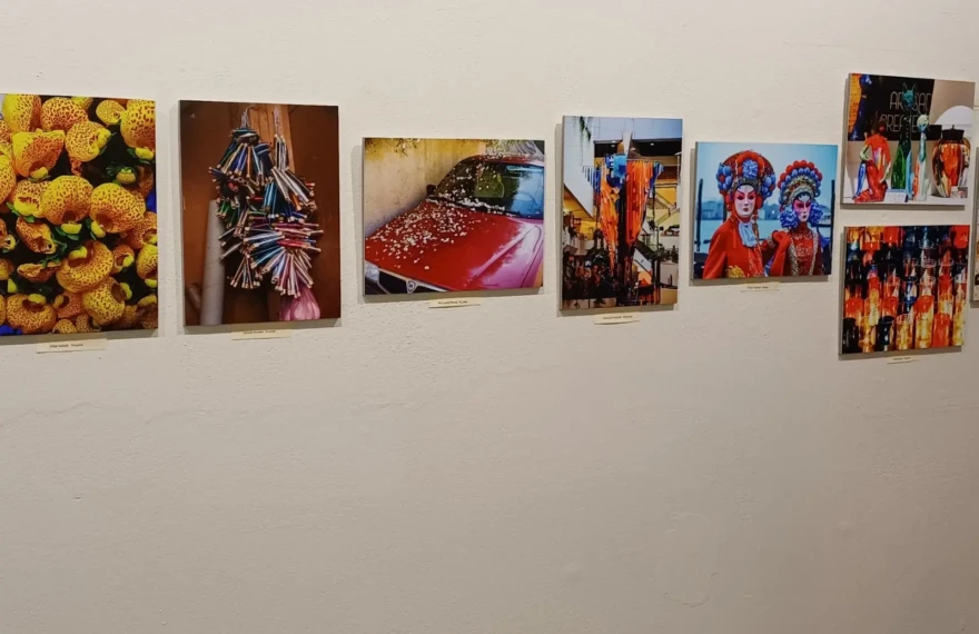 IMG-bf1c67d3d139a397896b0c80541b239d-V