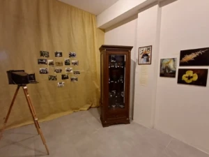 IMG-d2d40088ac4e75972c63f7a7e3c1c83d-V