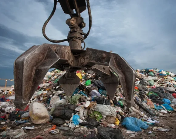 shutterstock_-_apporimmata_-_apovlita