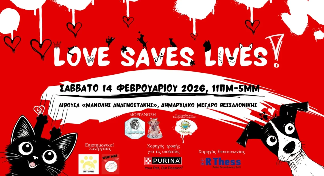 unnamed - 2026-02-10T130512.915