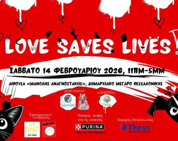 unnamed - 2026-02-10T130512.915