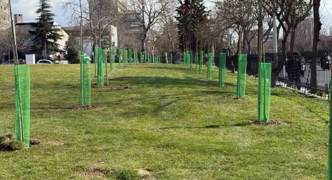 unnamed - 2026-02-27T154534.516