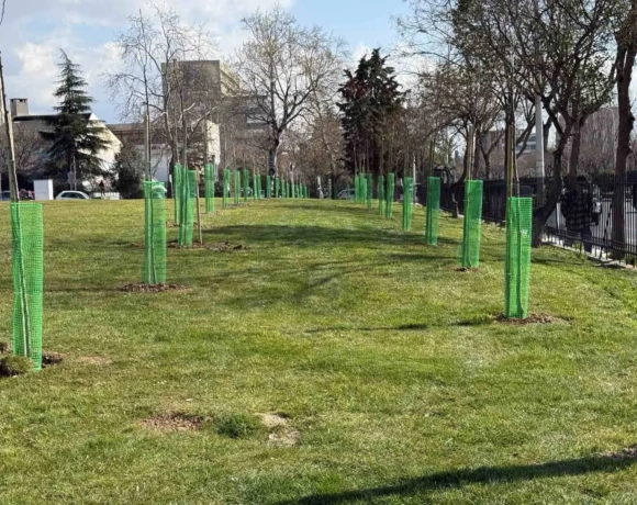 unnamed - 2026-02-27T154534.516