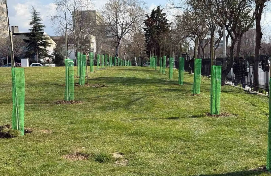 unnamed - 2026-02-27T154534.516