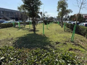 unnamed - 2026-02-27T154537.275