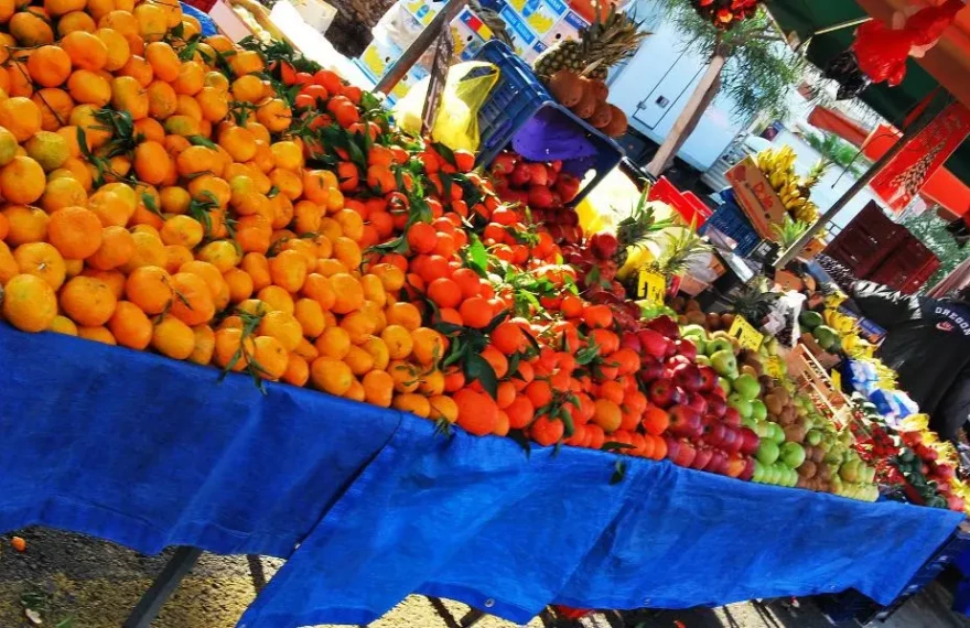 146562_a40a59910b-aa6cb08166ce9edf