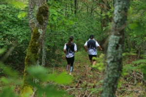 20250511-20250511-IMGL9638