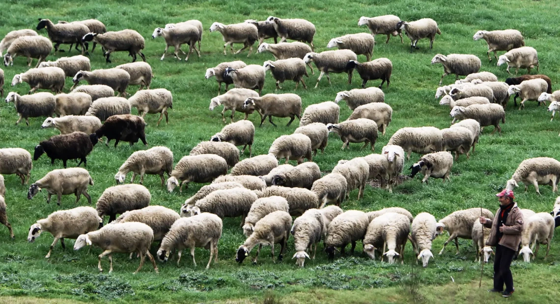 b8a2b7a4774807f38ca3bc867a324263_2433393-1-1