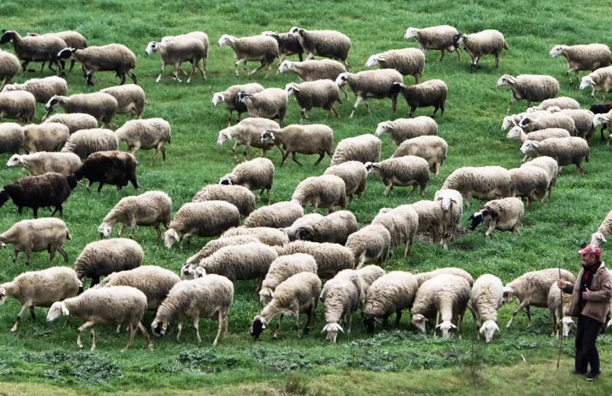 b8a2b7a4774807f38ca3bc867a324263_2433393-1-1