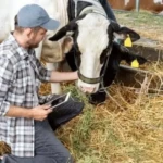 ΔΕΥΕΡΗ ΕΥΚΑΙΡΕΙΑ