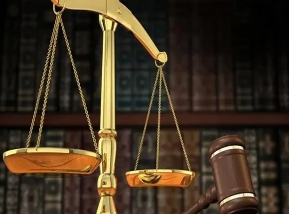 dikigoroi_271072491_1