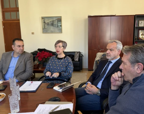 ερευνα επιμελητηρι