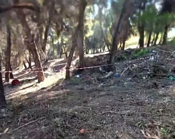 γυναικα πευκ2 (2)