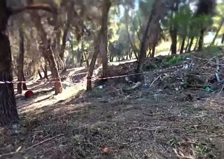 γυναικα πευκ2 (2)