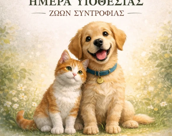 ΗΜΕΡΑ ΥΙΟΘΕΣΙΑΣ