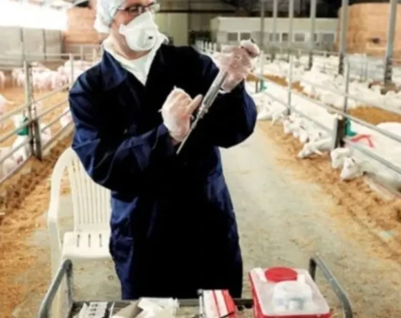 ΚΤΗΝΙΑΤΡΟΙ-854x480