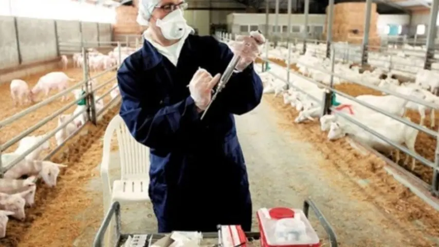 ΚΤΗΝΙΑΤΡΟΙ-854x480