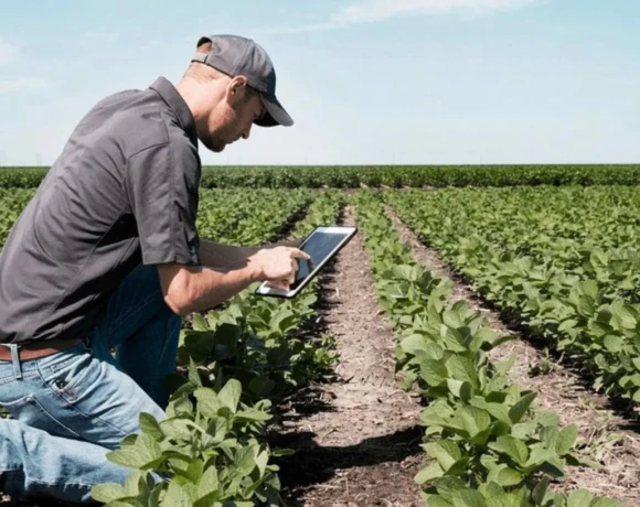 unnamed - 2026-03-12T140605.782