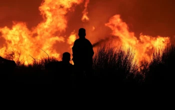 2024-08-12T062714Z_313272865_RC24E9A3F7XP_RTRMADP_5_EUROPE-WEATHER-GREECE-WILDFIRE-1200x800