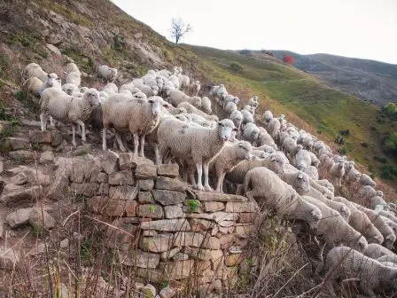 afthodis-4-1-448x336