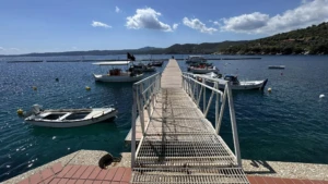 δημοςεργα13