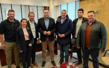 φρενο παραμεσ