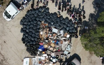 γλαροκαμβος1